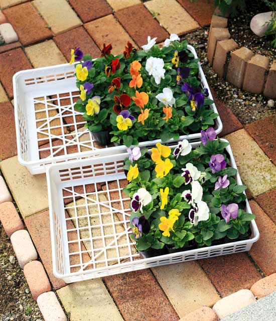 株式会社ヤマト容器 - 自社製品